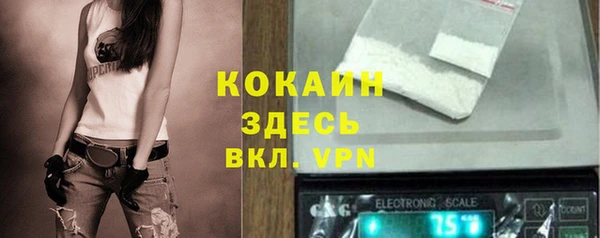 бошки Няндома