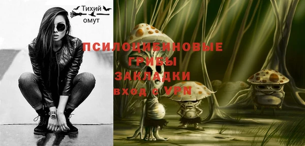 бошки Няндома