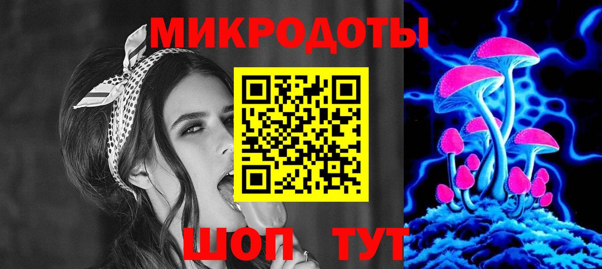 Псилоцибиновые грибы Cubensis Красногорск