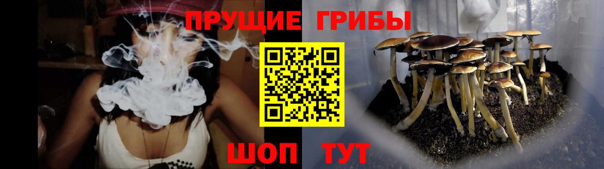 купить   Вход с VPN  Красногорск  Псилоцибиновые грибы MAGIC MUSHROOMS 